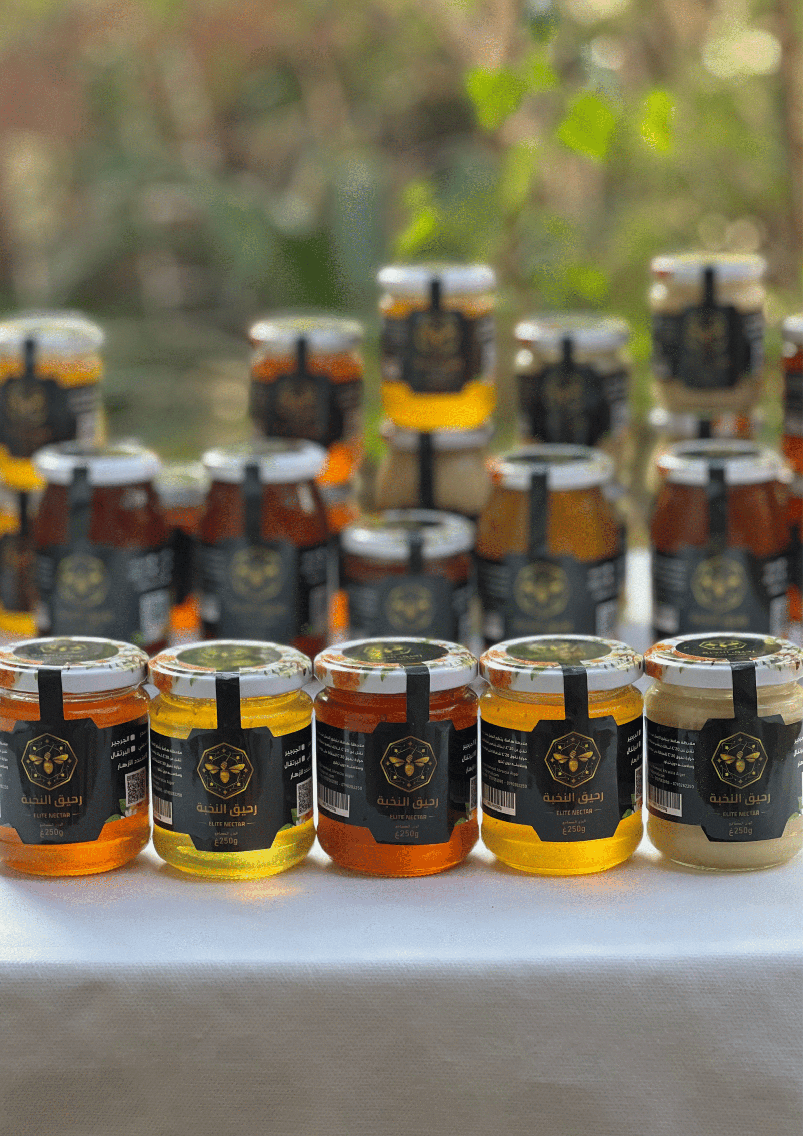 باقة الشتاء